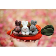 🎁 Hide-and-Seek Bunnies in Carrot Pouch