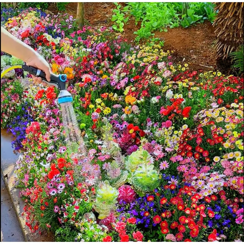 💝Mixed Perennial Flowers Seeds30- 60kinds mixed