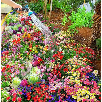 💝Mixed Perennial Flowers Seeds30- 60kinds mixed