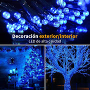🎄Outdoor and Indoor Christmas Lights