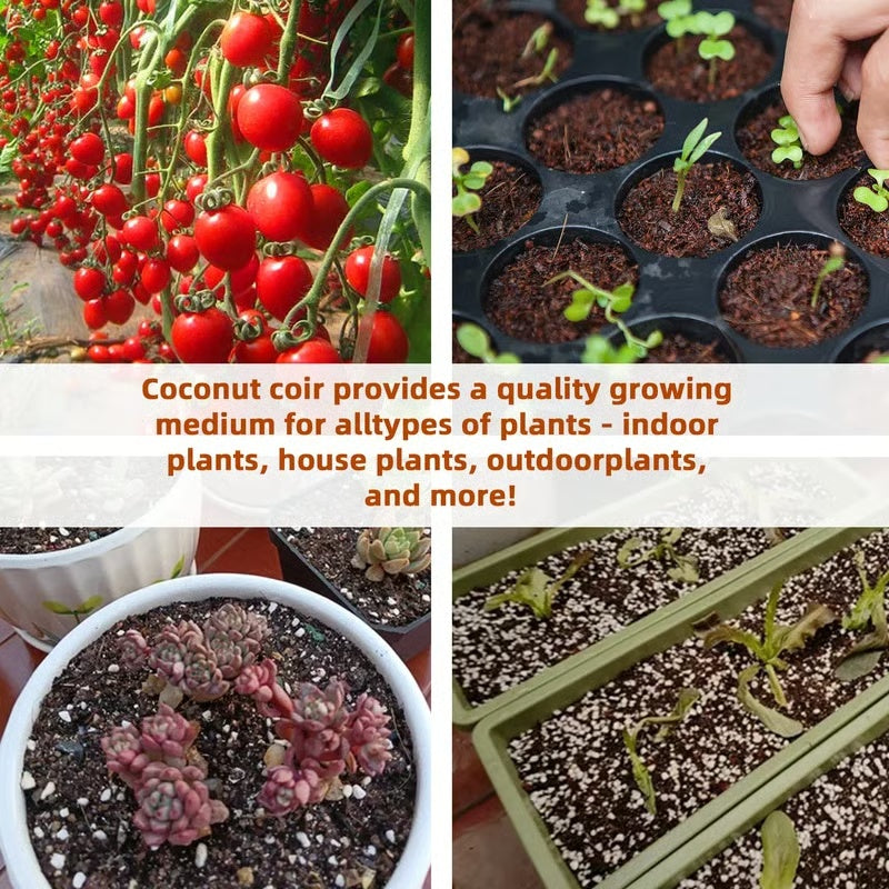✨Premium Organic Coconut Coir Bricks for Plants（Size：5*1.5cm）
